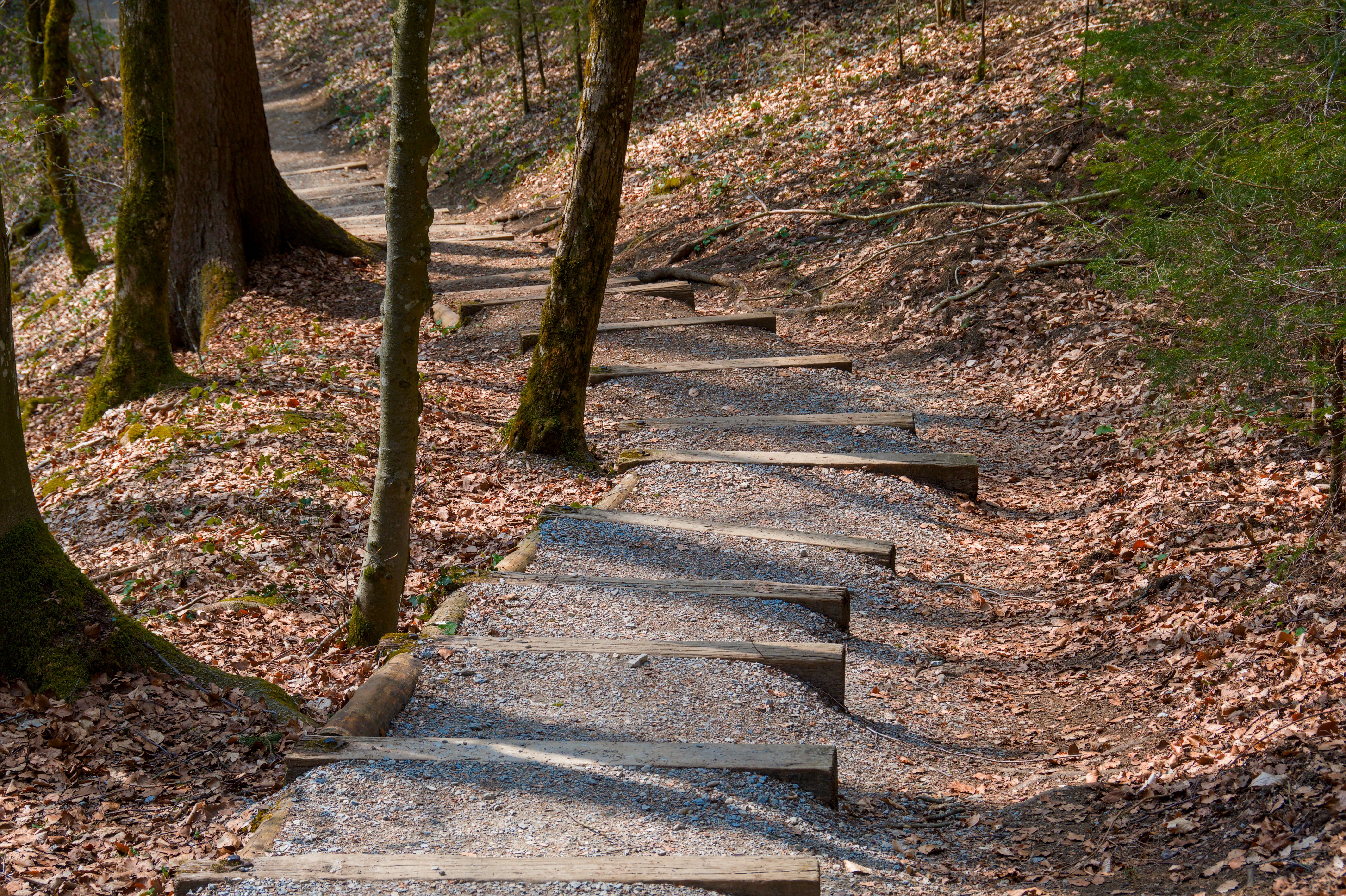 Thing To Do Nature / Hiking
